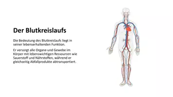 Vorschau - Unterrichtsreihen - Blutkreislauf_Präsentation_Digital - Seite 2