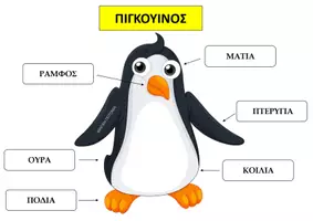 Προεπισκόπηση - Flashcards - ΠΙΓΚΟΥΙΝΟΣ - ΤΑ ΜΕΡΗ ΤΟΥ ΣΩΜΑΤΟΣ - Εξώφυλλο