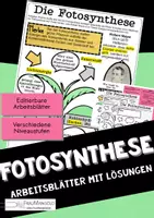 Vorschau - Arbeitsblätter - Fotosynthese - Differenziertes Arbeitsblatt zur Wiederholung oder Sicherung - Sketch Notes - Deckblatt