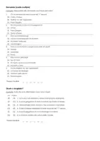 anteprima - Esercizi - Musica nel Medioevo (Testo cloze ed esercizi) - Pagina 2