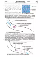Vorschau - Merkblätter - Informationsblatt zum Stofftrennungsverfahren Papierchromatografie - Deckblatt