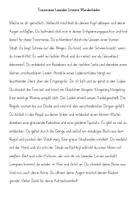 Vorschau - Text - Leander Linnes Wunderladen Traumreise - Seite 3