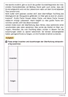 Vorschau - Arbeitsblätter - Überfischung der Meere - Seite 2
