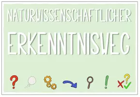 Vorschau - Experimente - Tafelschilder: Wissenschaftlicher Erkenntnisweg / Forschungsschritte - Seite 1