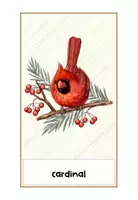 Vorschau - Spiele - Christmas Flashcards - Weihnachts-Lernkarten - Seite 2
