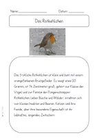 Vorschau - Arbeitsblätter - Tiere im Wald - Vögel - Steckbrief und Infotexte - Seite 3