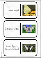 Vorschau - Spiele - Kettenreaktionsspiel: Schmetterlinge - Seite 3