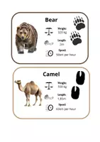 Vista previa - Unidades / Secuencias / Situaciones de Aprendizaje - Wild animals COMPARATIVE and SUPERLATIVE - página 3