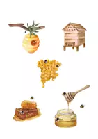 Aperçu - Fiches - Dossier sur les abeilles - Page 1
