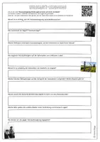 Vorschau - Arbeitsblätter - Die Lügen der HOLOCAUST-Leugner aufgedeckt: Arbeitsblatt und Video - Seite 3