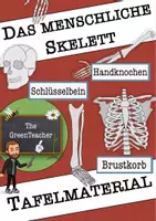 Vorschau - Präsentationen/Tafelbilder - Tafelmaterial Skelett - Bild- und Wortkarten - Deckblatt