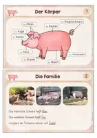 Vorschau - Unterrichtsreihen - #Silvesterknaller23 Bauernhof: Hof- und Nutztiere (analog + digital) - Seite 3
