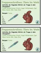 Vorschau - Aufgabenkarten - Treppenschreiben "Tiere im Wald" DaZ / DaF / Deutsch - Seite 1