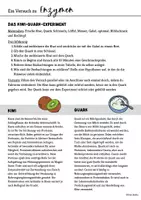 Vorschau - Arbeitsblätter - Versuche zur Enzymatik Enzyme Experimente mit Einstieg - Seite 1