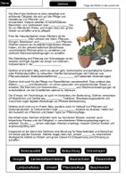 Vorschau - Arbeitsblätter - Gärtner Lückentext - Seite 1