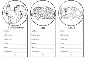 Vorschau - Arbeitsblätter - Tiere im Winter - Steckbriefe und Lernfächer mit praktischer Kopiervorlage - Seite 2