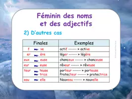 Aperçu - Cartes / Images - Féminin des noms et des adjectifs - 80 mots - Page 1