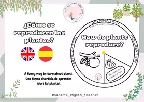 Vista previa - Manualidades / Dibujos para colorear - HOW DO PLANTS REPRODUCE? WHEEL - página 1