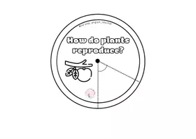 Vista previa - Manualidades / Dibujos para colorear - HOW DO PLANTS REPRODUCE? WHEEL - página 2