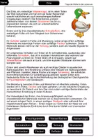 Vorschau - Arbeitsblätter - Lückentext Ente - Seite 2