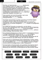 Vorschau - Arbeitsblätter - Lückentext Eule - Seite 1