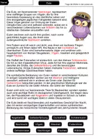 Vorschau - Arbeitsblätter - Lückentext Eule - Seite 2