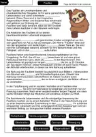 Vorschau - Arbeitsblätter - Lückentext Faultier - Seite 1