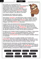 Vorschau - Arbeitsblätter - Lückentext Faultier - Seite 2
