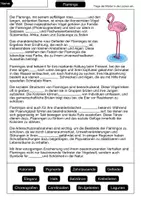 Vorschau - Arbeitsblätter - Lückentext Flamingo - Seite 1