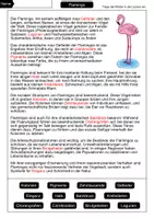Vorschau - Arbeitsblätter - Lückentext Flamingo - Seite 2