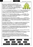 Vorschau - Arbeitsblätter - Lückentext Frosch - Seite 1