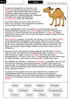 Vorschau - Arbeitsblätter - Lückentext Kamel - Seite 2