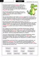 Vorschau - Arbeitsblätter - Lückentext Krokodil - Seite 2