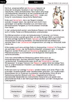 Vorschau - Arbeitsblätter - Lückentext Kuh - Seite 2