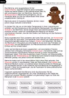 Vorschau - Arbeitsblätter - Mammut Lückentext - Seite 2