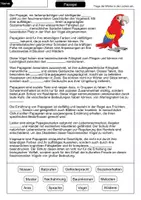 Vorschau - Arbeitsblätter - Papagei Lückentext - Seite 1