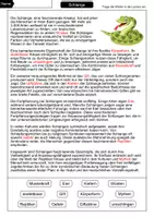 Vorschau - Arbeitsblätter - Lückentext Schlange - Seite 2