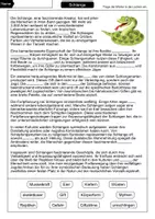 Vorschau - Arbeitsblätter - Lückentext Schlange - Seite 1