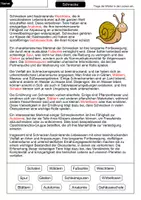 Vorschau - Arbeitsblätter - Lückentext Schnecke - Seite 2