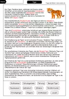 Vorschau - Arbeitsblätter - Tiger Materialpaket - Sparpaket - Seite 3