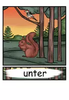 Vorschau - Präsentationen/Tafelbilder - Präpositionen "Wo ist das Eichhörnchen?" Bildkarten Wortkarten - Tiere im Wald - DaZ / DaF / Deutsch - Seite 2