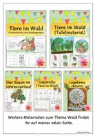 Vorschau - Arbeitsblätter - Tiere im Wald (Arbeitsblätter) - Seite 1