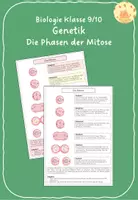 Vorschau - Arbeitsblätter - Genetik: Die Phasen der Mitose - Deckblatt