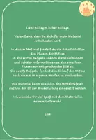 Vorschau - Arbeitsblätter - Genetik: Die Phasen der Mitose - Seite 1