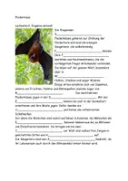 Vorschau - Arbeitsblätter - Die Fledermaus Text Aufgaben Lösung - Seite 2