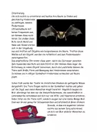 Vorschau - Arbeitsblätter - Die Fledermaus Text Aufgaben Lösung - Seite 3