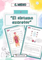 Vista previa - Unidades / Secuencias / Situaciones de Aprendizaje - Sistema excretor. El cuerpo humano - Portada