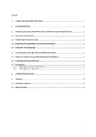 Vorschau - Stundenentwürfe - Vorlage für Unterrichtsbesuche, Referendariat - Seite 2