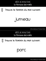 Aperçu - Jeux - Défi je m'active: Le féminin des mots - Page 1