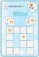 Vorschau - Arbeitsblätter - MEGA-SPARPAKET: Mitose & Meiose - 21x Aktivitäten und Spiele - Seite 1